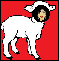sj sheeple 1